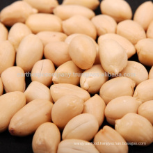 Blanched Peanut Kernel